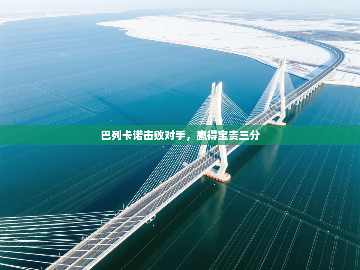 巴列卡诺击败对手,赢得宝贵三分 第2张