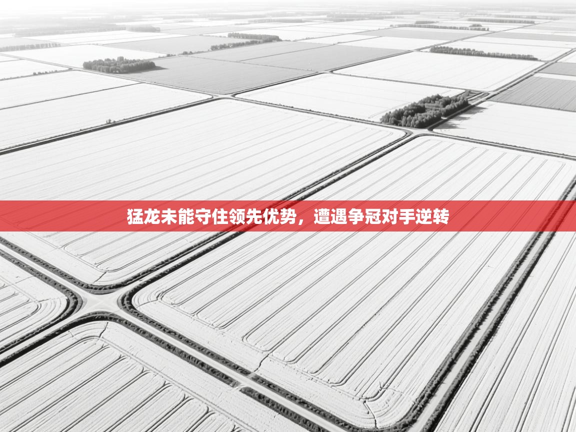 猛龙未能守住领先优势，遭遇争冠对手逆转  第1张