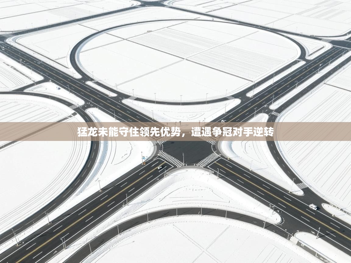 猛龙未能守住领先优势，遭遇争冠对手逆转  第2张