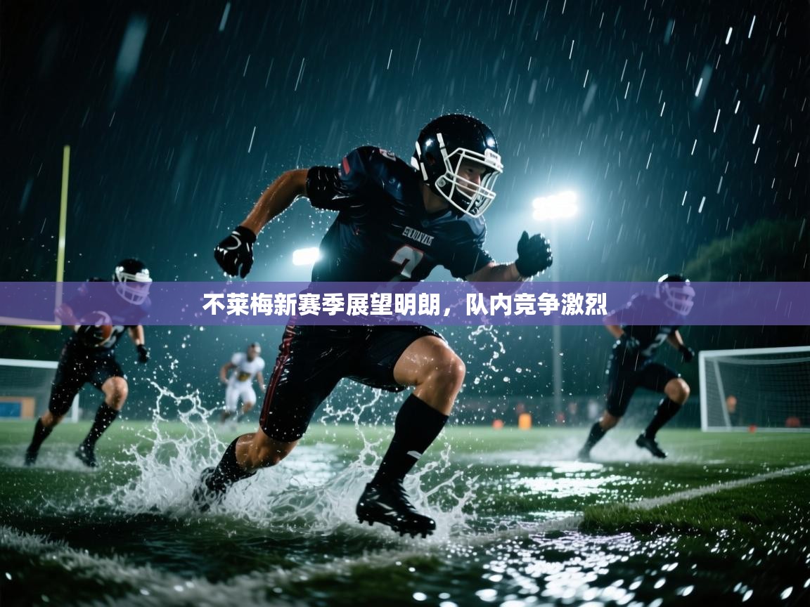 不莱梅新赛季展望明朗，队内竞争激烈  第1张