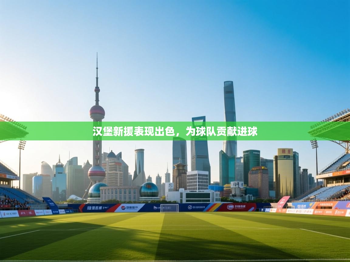 汉堡新援表现出色,为球队贡献进球 第1张