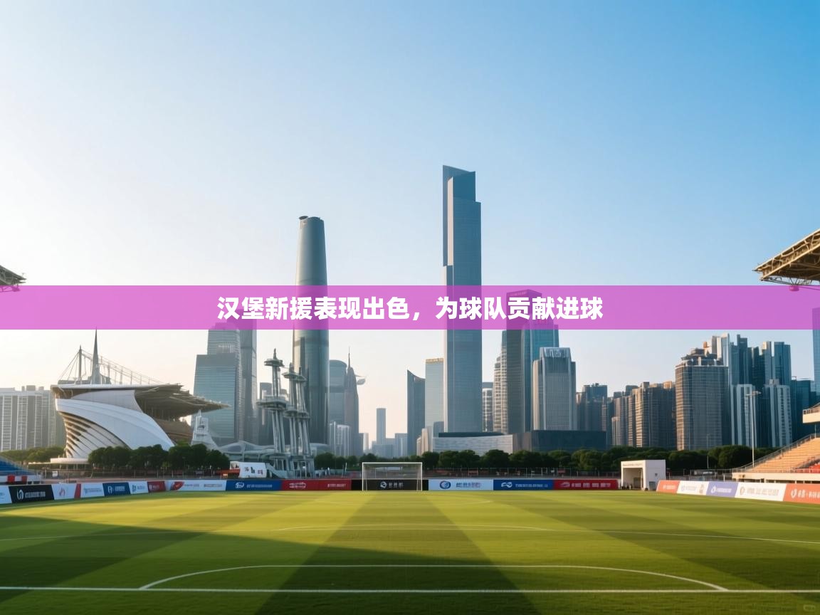 汉堡新援表现出色,为球队贡献进球 第2张